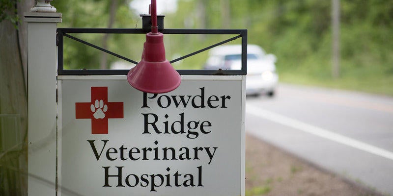 ridge road vet clinic