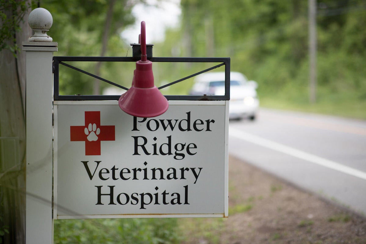 Veterinary Clinic in Middlefield, CT | Powder Ridge ...