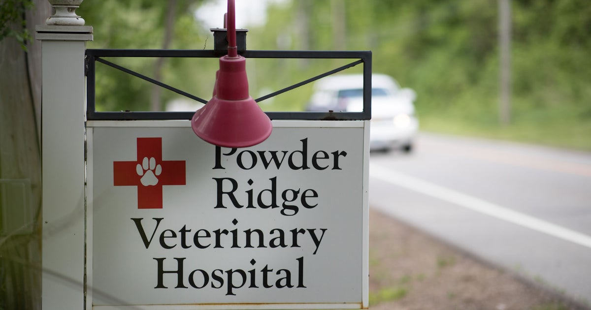 Veterinary Clinic in Middlefield, CT |