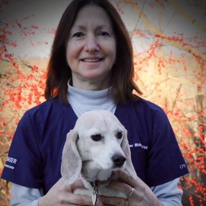Corinne Vicenzo  </br> Veterinary Technician  photo